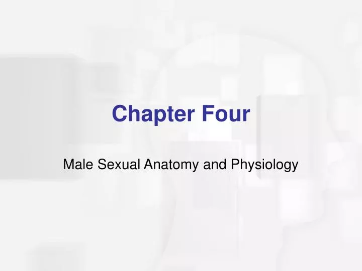 male sexual anatomy and physiology