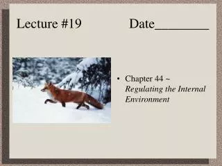 Lecture #19 Date________