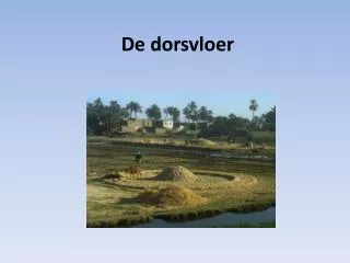 de dorsvloer