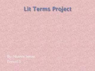 Lit Terms Project