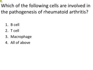 Which of the following cells are involved in the pathogenesis of rheumatoid arthritis?
