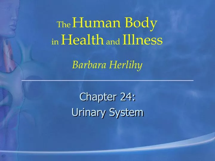 chapter 24 urinary system