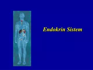 endokrin sistem