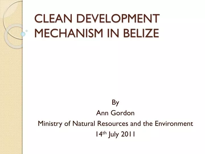 clean development mechanism in belize