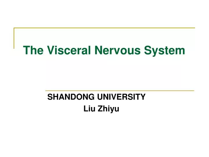 the visceral nervous system