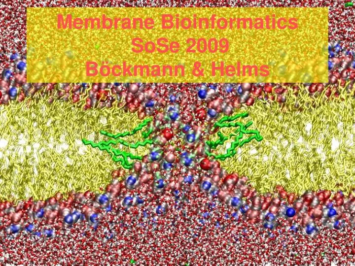 membrane bioinformatics sose 2009 b ckmann helms