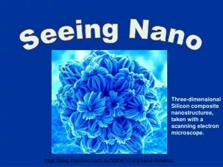 Seeing Nano