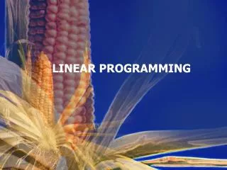 linear programming