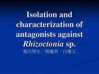 isolation and characterization of antagonists against rhizoctonia sp