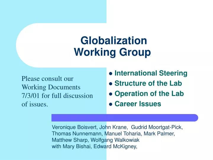 globalization working group