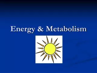 Energy &amp; Metabolism
