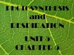 PHOTOSYNTHESIS and RESPIRATION UNIT 5 CHAPTER 5 - slide 1