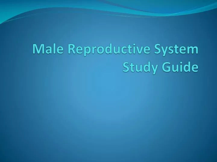 male reproductive system study guide