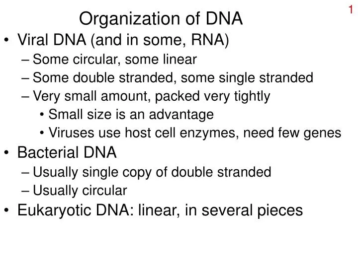 organization of dna