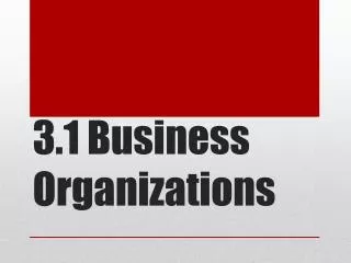 3.1 Business Organizations