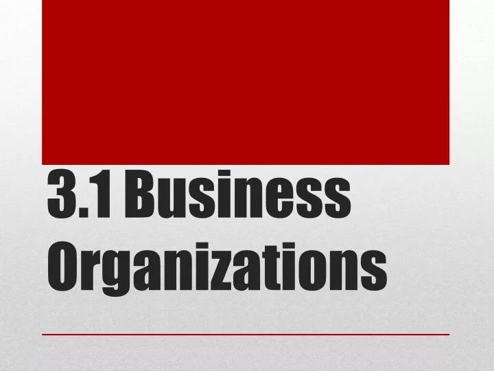3 1 business organizations