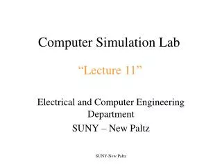 Computer Simulation Lab
