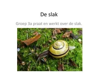 de slak