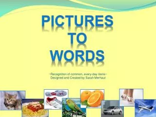 Pictures To words
