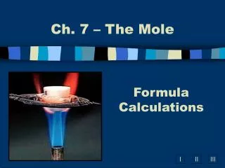 ch 7 the mole