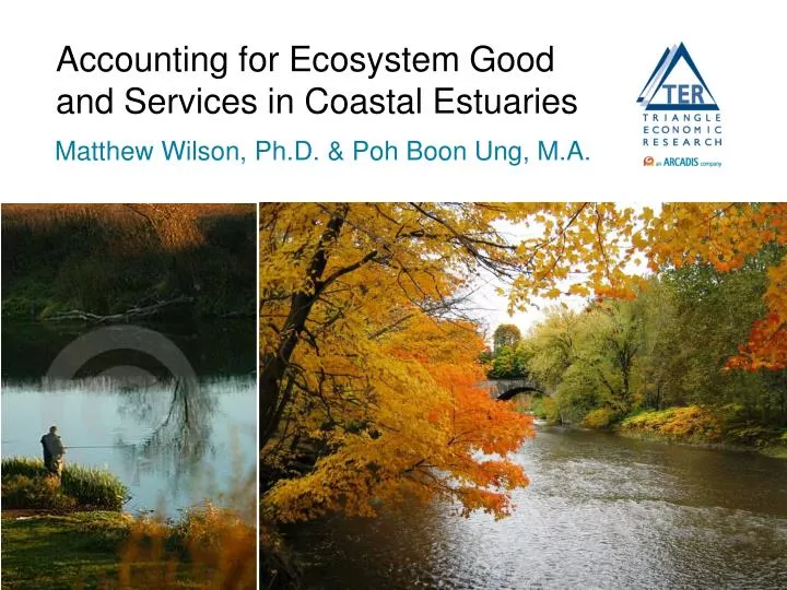accounting for ecosystem good and services in coastal estuaries