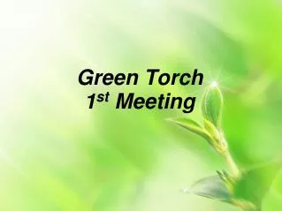 Green Torch 1 st Meeting
