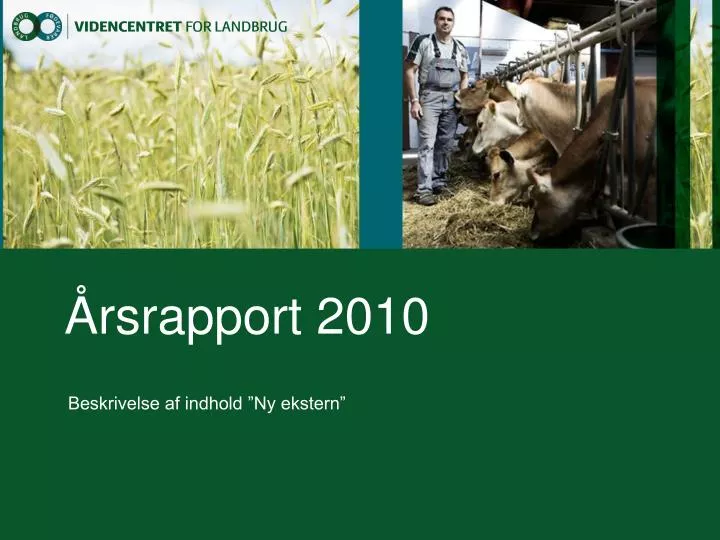 rsrapport 2010