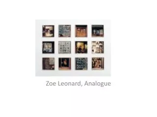 Zoe Leonard, Analogue