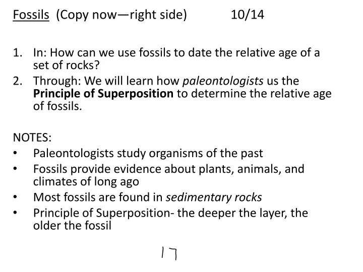 fossils copy now right side 10 14