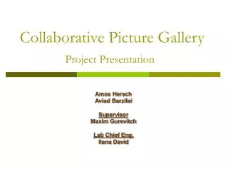 Collaborative Picture Gallery Project Presentation