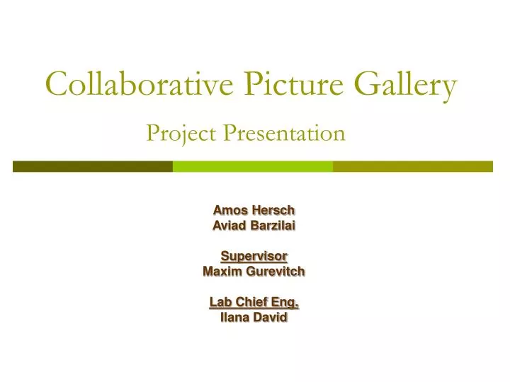 collaborative picture gallery project presentation