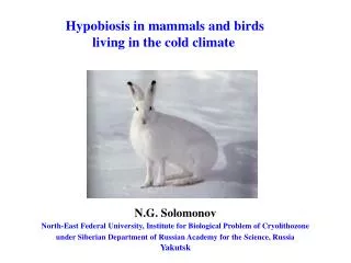 Hypobiosis in mammals and birds living in the cold climate
