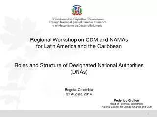 Regional Workshop on CDM and NAMAs for Latin America and the Caribbean
