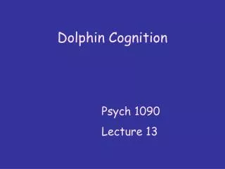 Dolphin Cognition