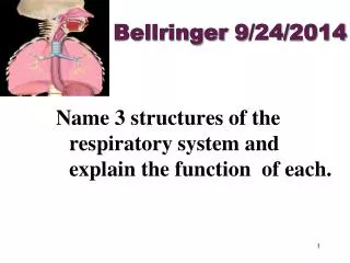 Bellringer 9/24/2014