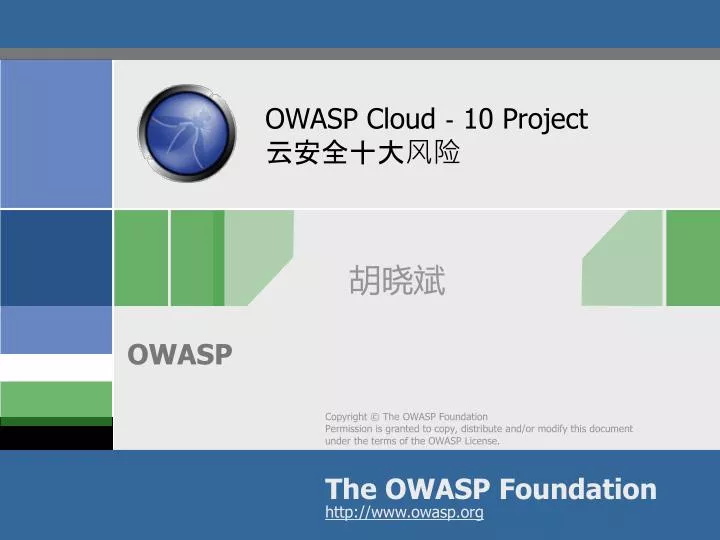 owasp cloud 10 project