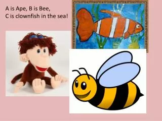A is Ape, B is Bee, C is clownfish in the sea!