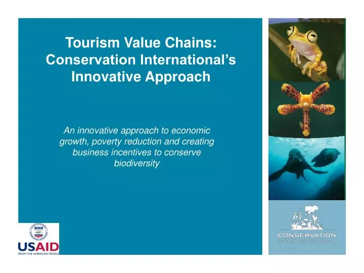 tourism value chains conservation international s innovative approach