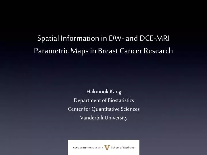 spatial information in dw and dce mri parametric maps in breast cancer research