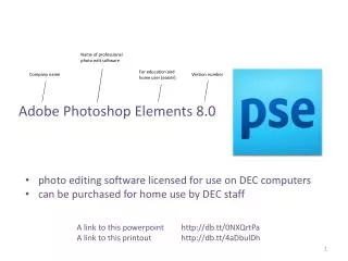 Adobe Photoshop Elements 8.0