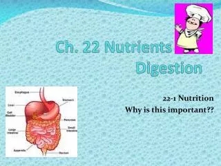 Ch. 22 Nutrients and Digestion