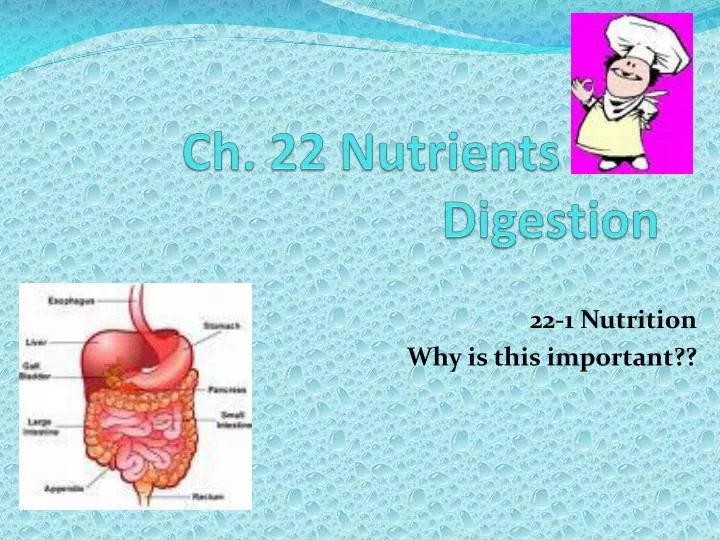 ch 22 nutrients and digestion