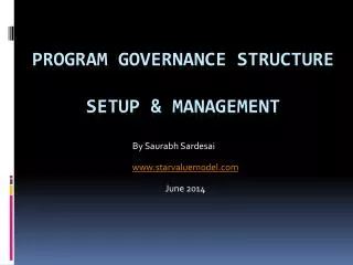 Program governance structure setup &amp; Management