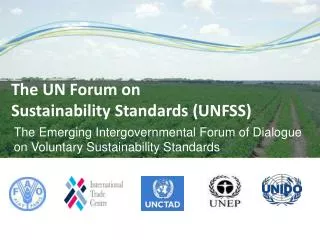 The Emerging Intergovernmental Forum of Dialogue on Voluntary Sustainability Standards
