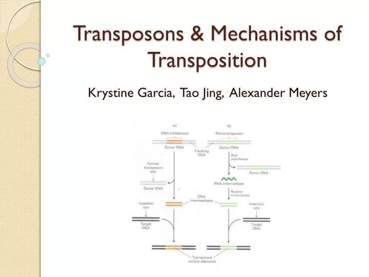 transposons mechanisms of transposition