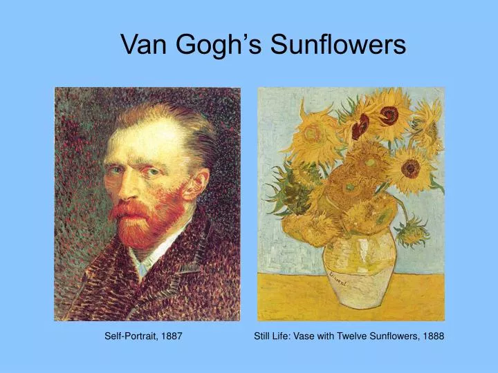 van gogh s sunflowers