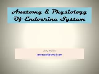 anatomy physiology of endocrine system