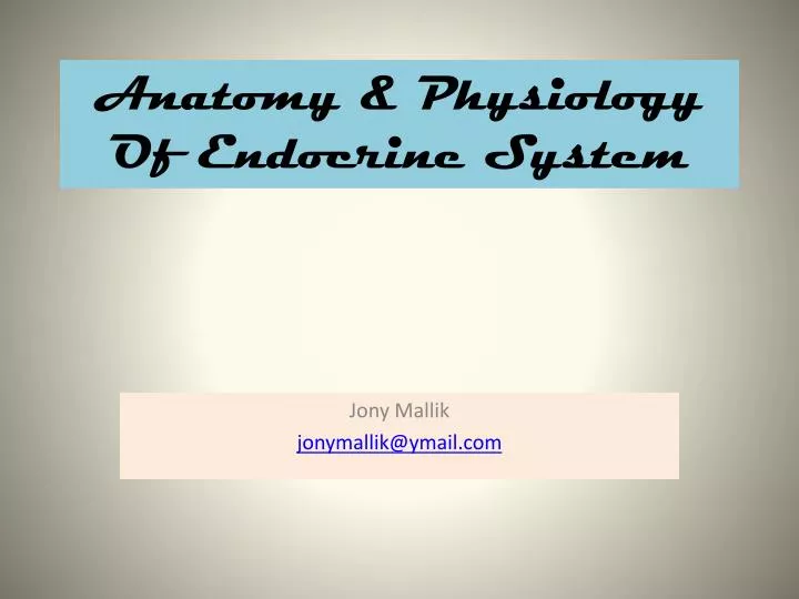 anatomy physiology of endocrine system