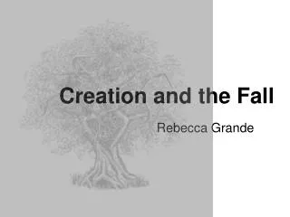 creation and the fall