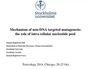 Mechanism of non-DNA targeted mutagenesis: the role of intra cellular nucleotide pool